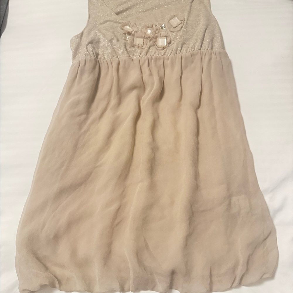 Velvet Shimmery Beige Dress